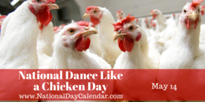 national-dance-like-a-chicken-day-may-14